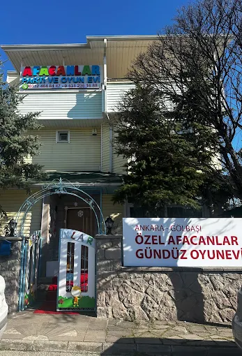 Afacanlar Parti ve Oyun evi kapak fotoğrafı