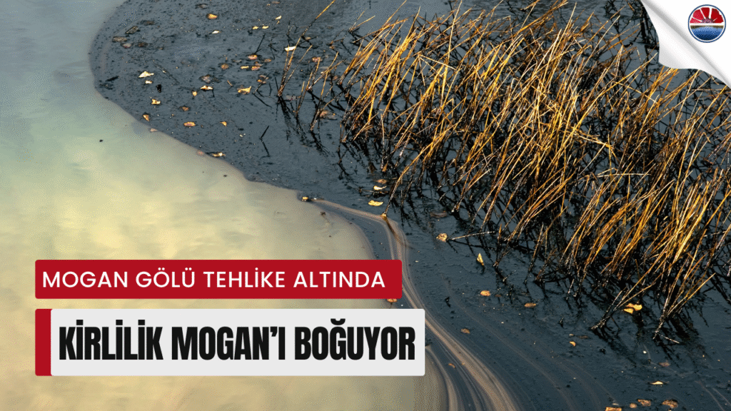 Mogan Gölü’nde Kirlilik Alarmı: Göl Ekosistemi Tehlike Altında